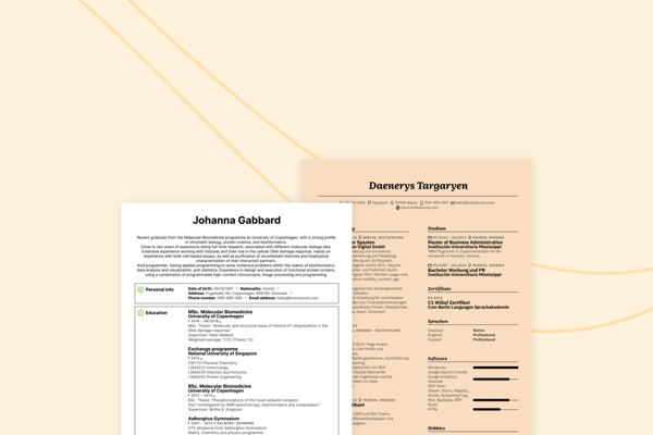 How to write an appealing accountant resume