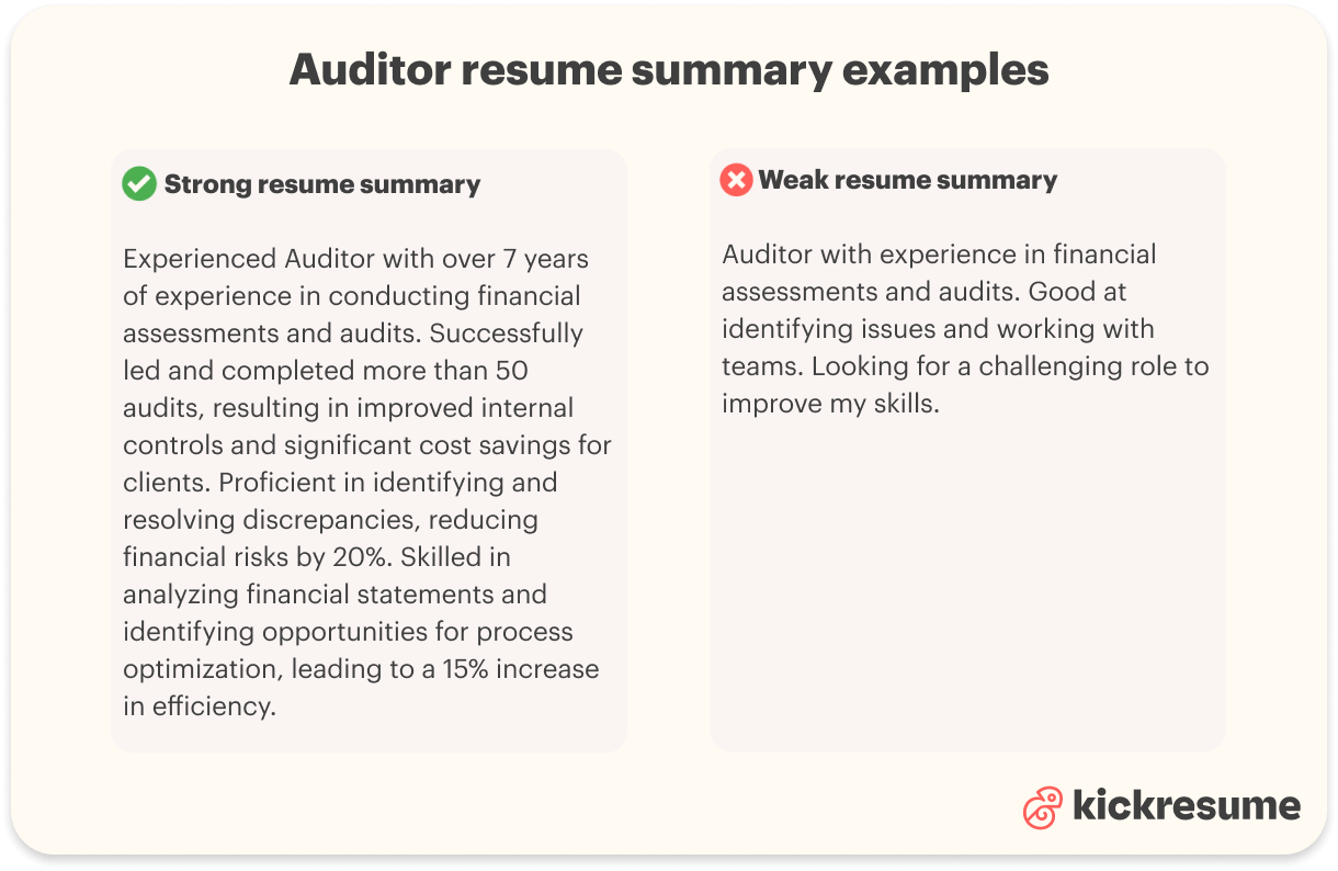 Auditor resume summary examples