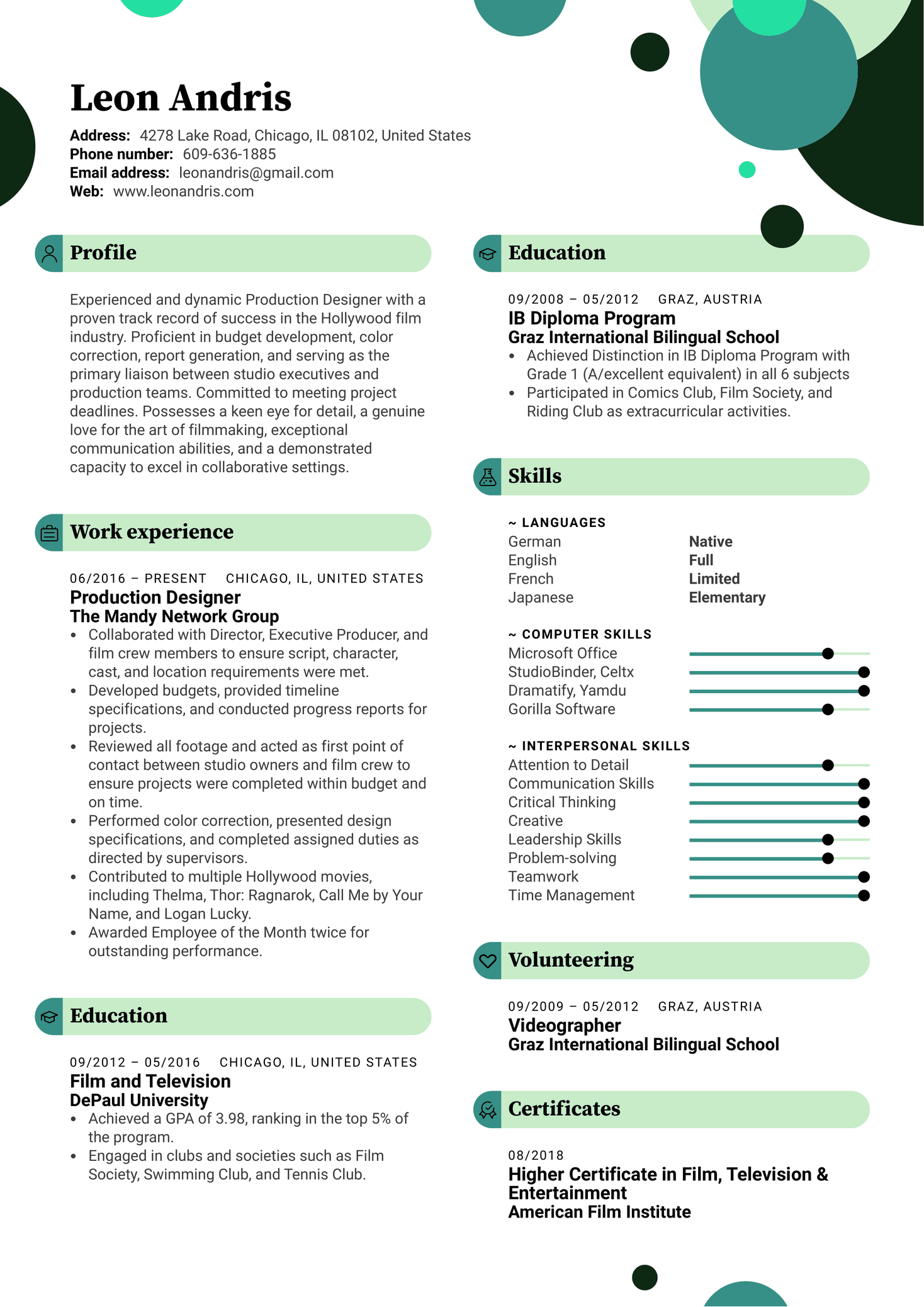 Production Designer Resume Example