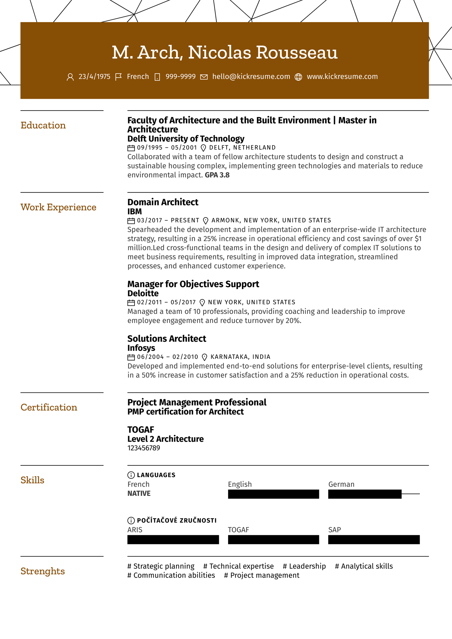 Domain Architect Resume Sample