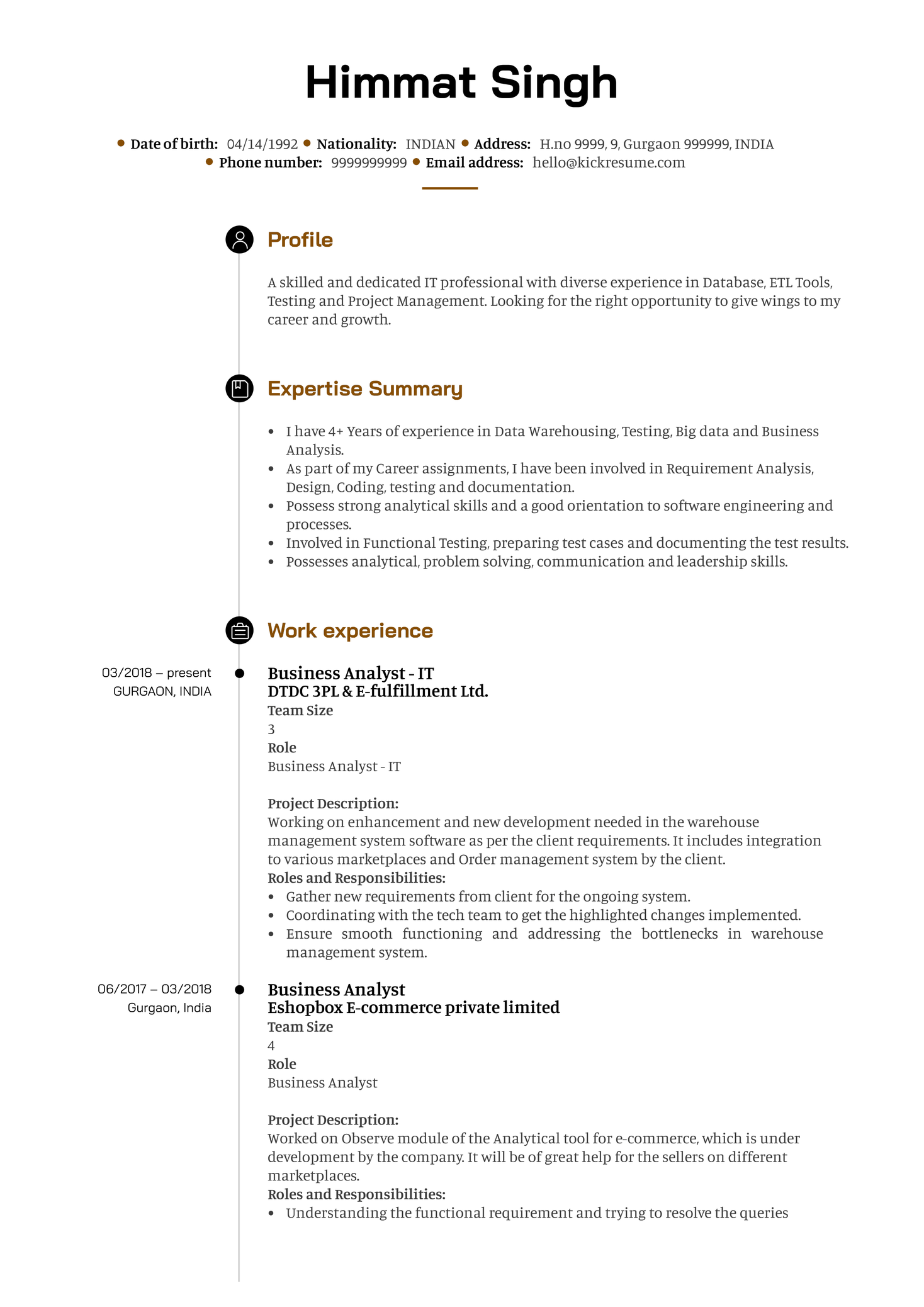 DTDC Business Analyst Resume Template