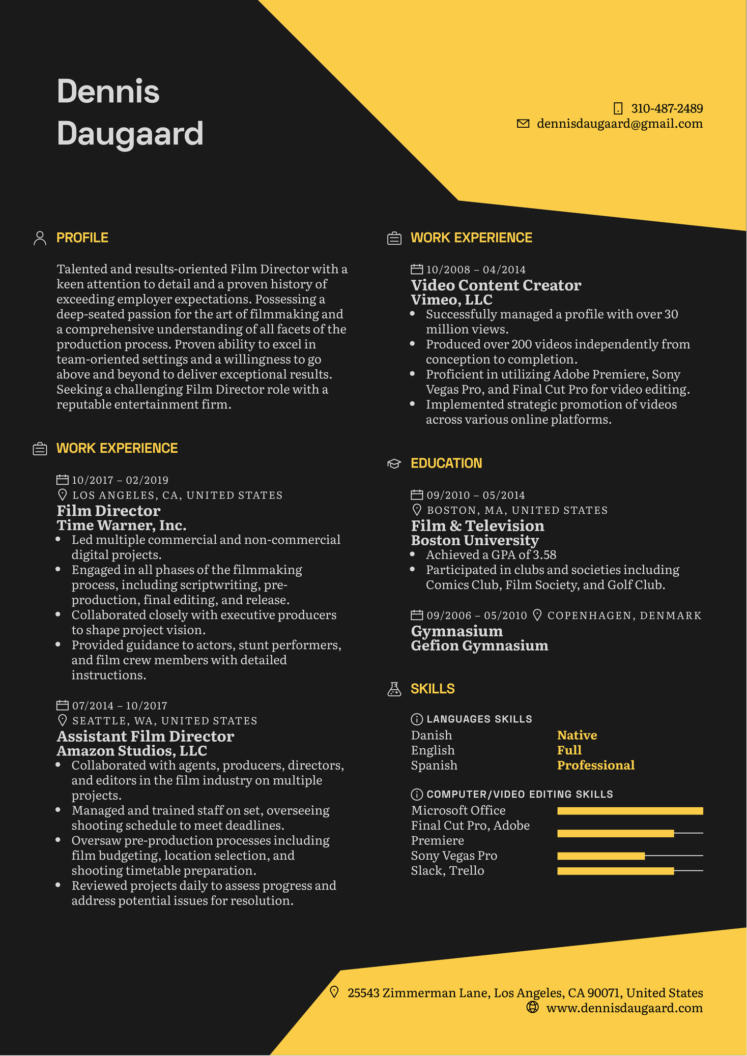 Film Director Resume Template