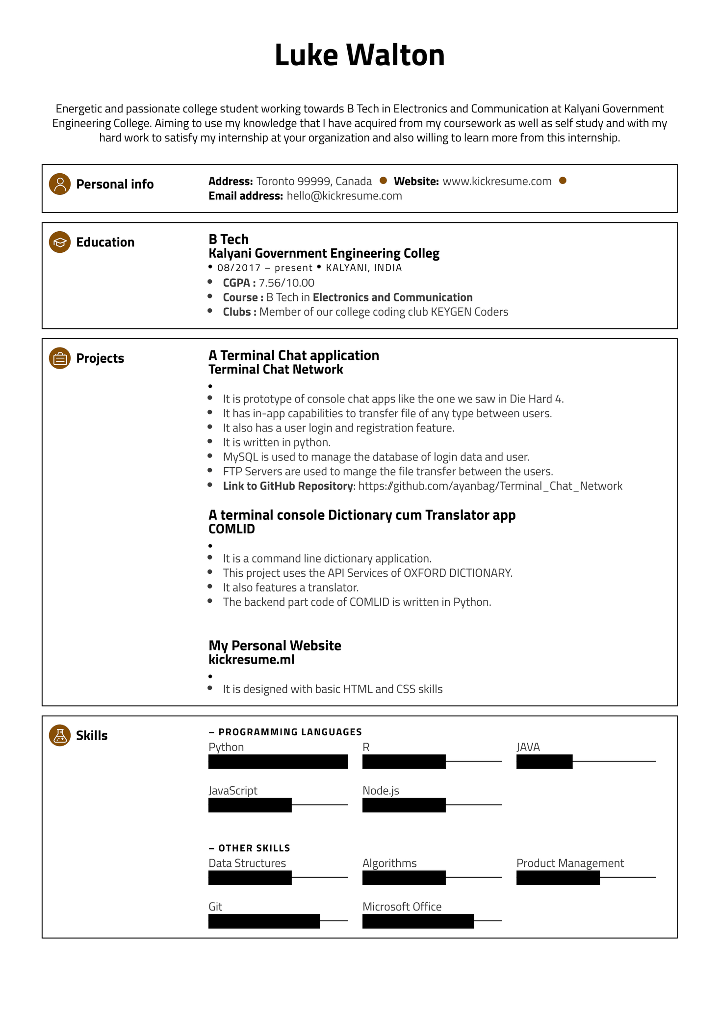 Google Software Engineering Intern Resume Sample