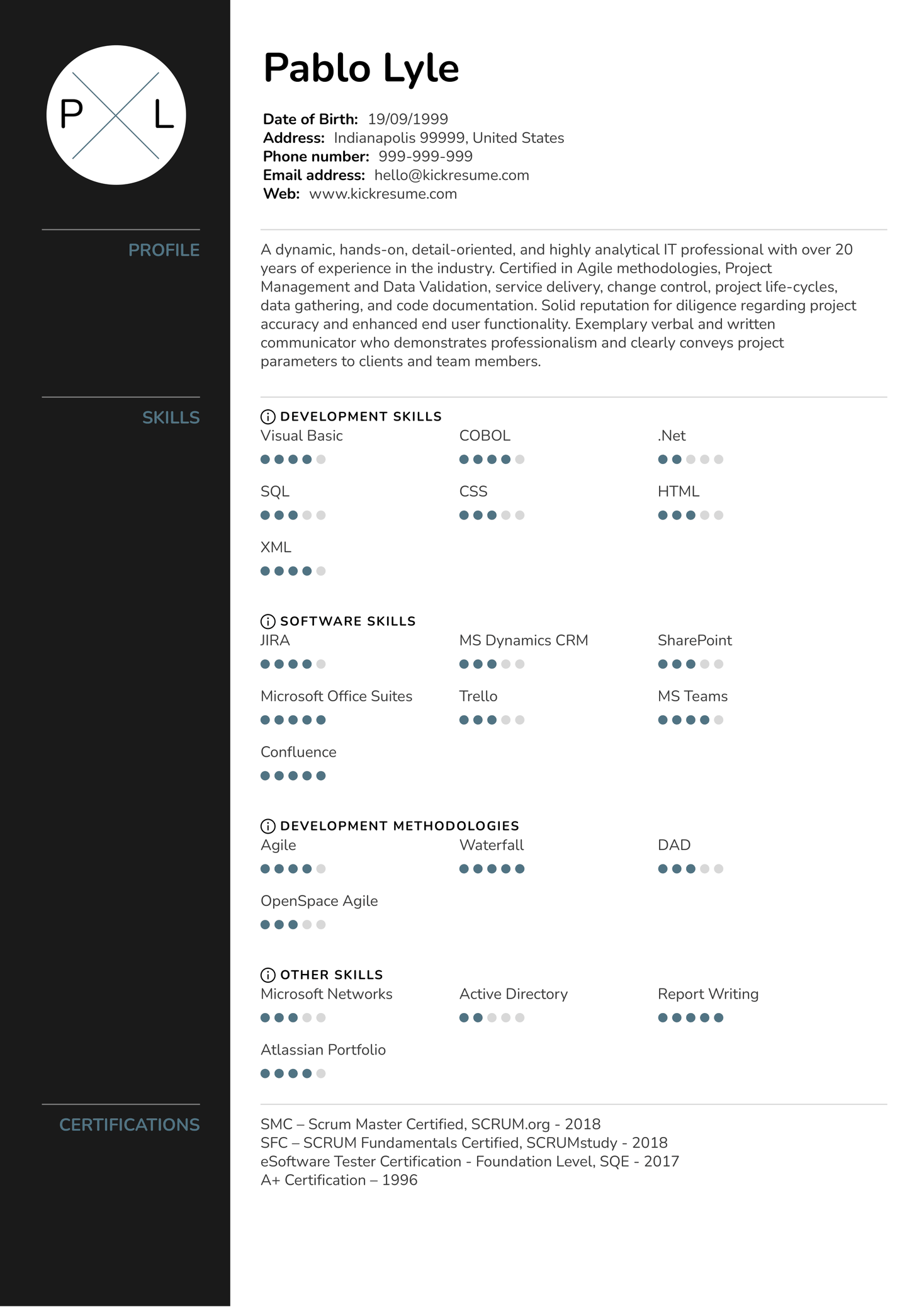 Experienced Software Developer CV Example