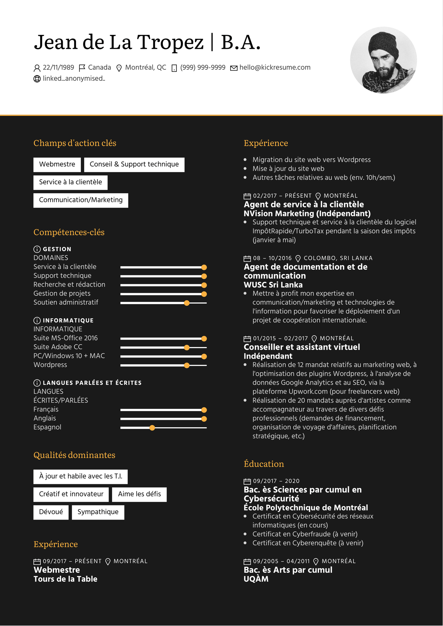 Webmaster/webmestre Resume Example [FR]