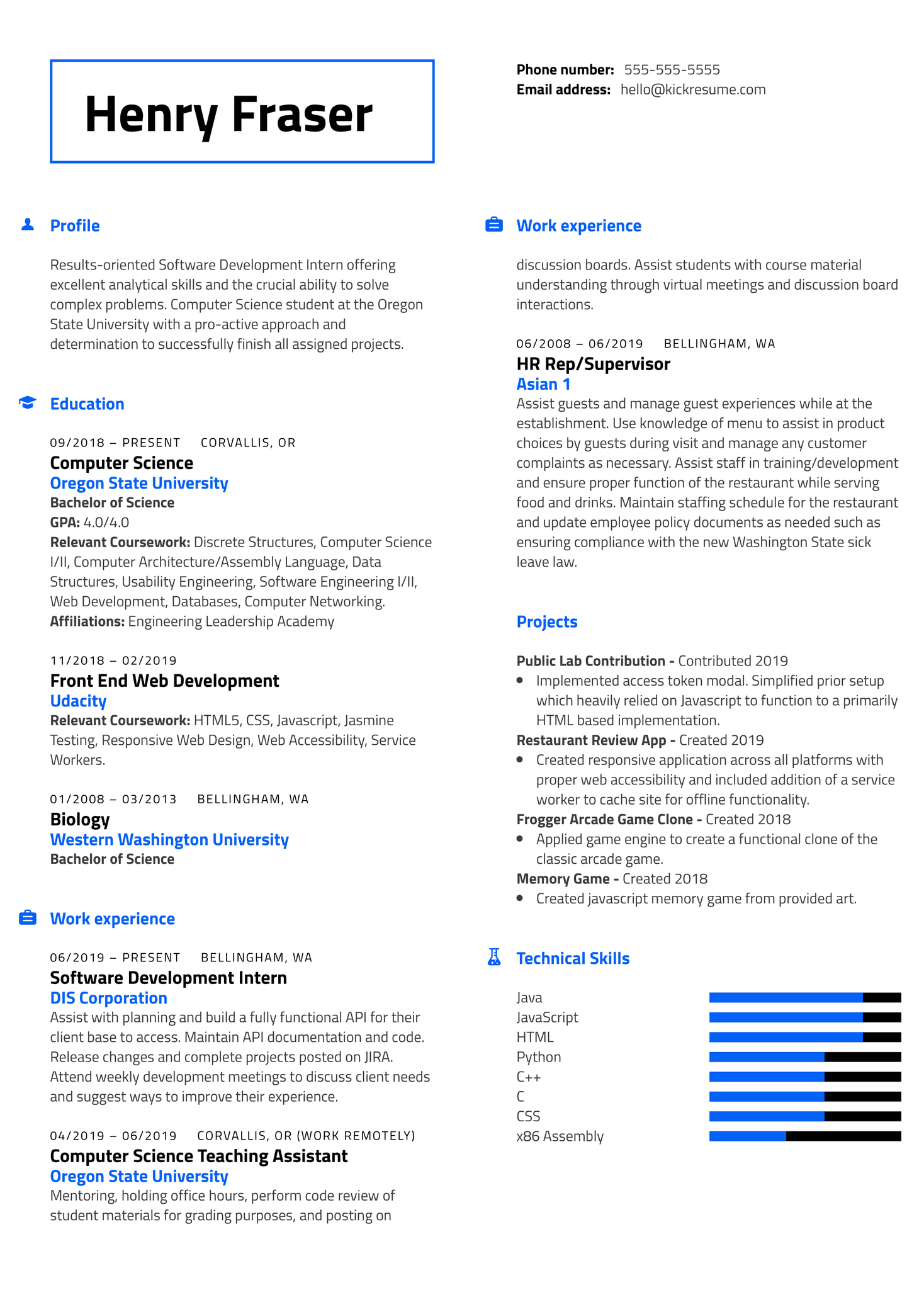 DIS Software Development Intern Resume Example