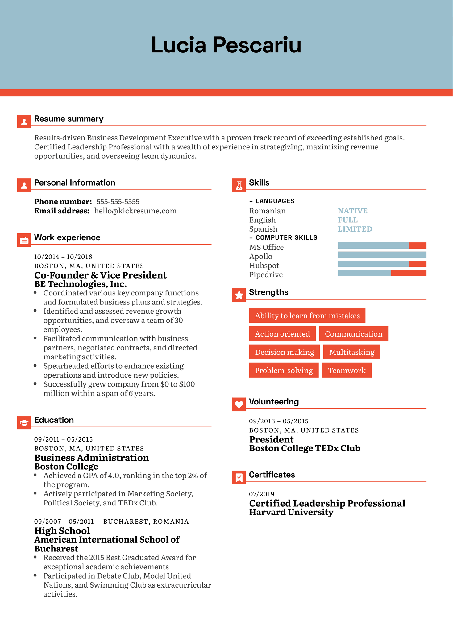 Vice President Resume Sample