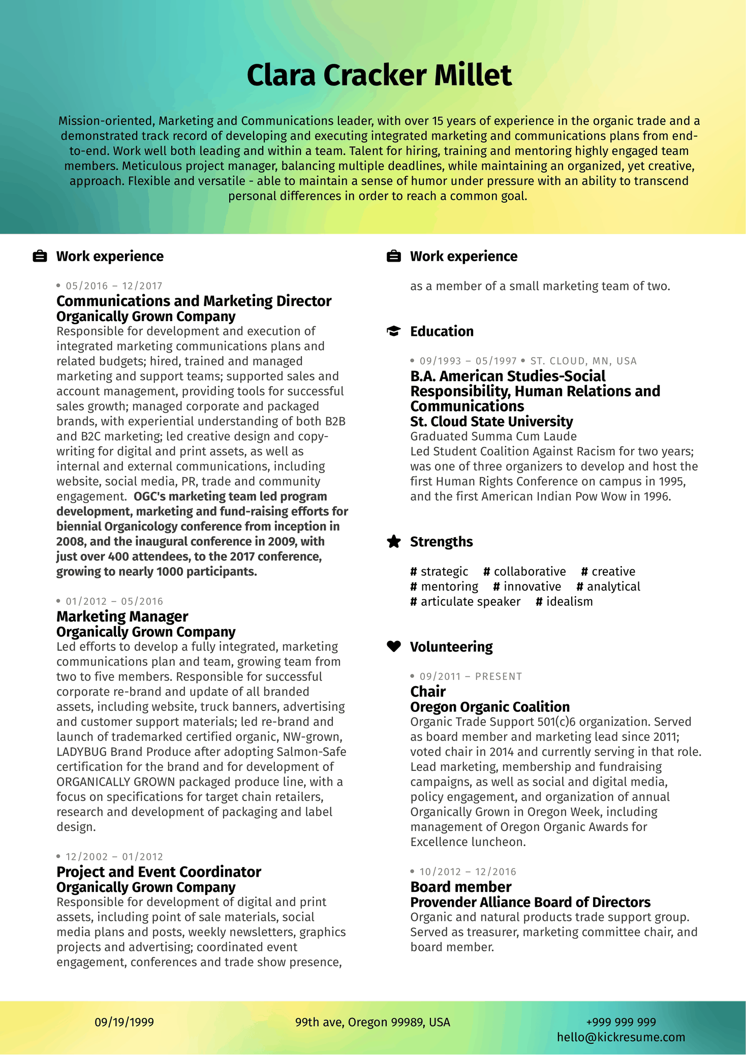 Marketing Analyst Resume Example