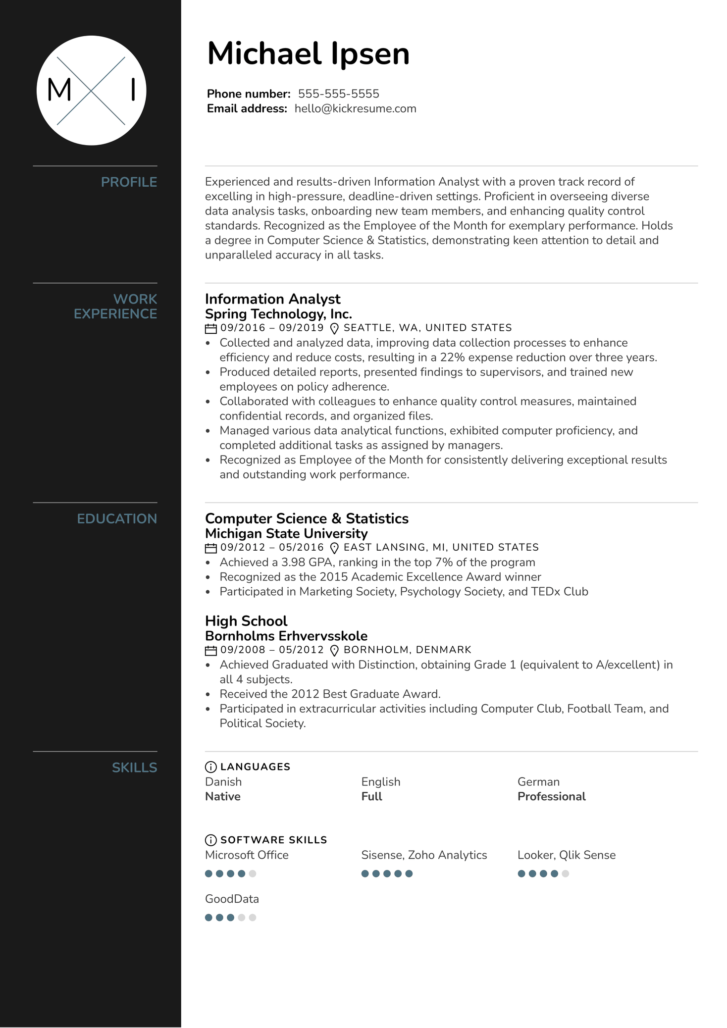 Information Analyst Resume Example