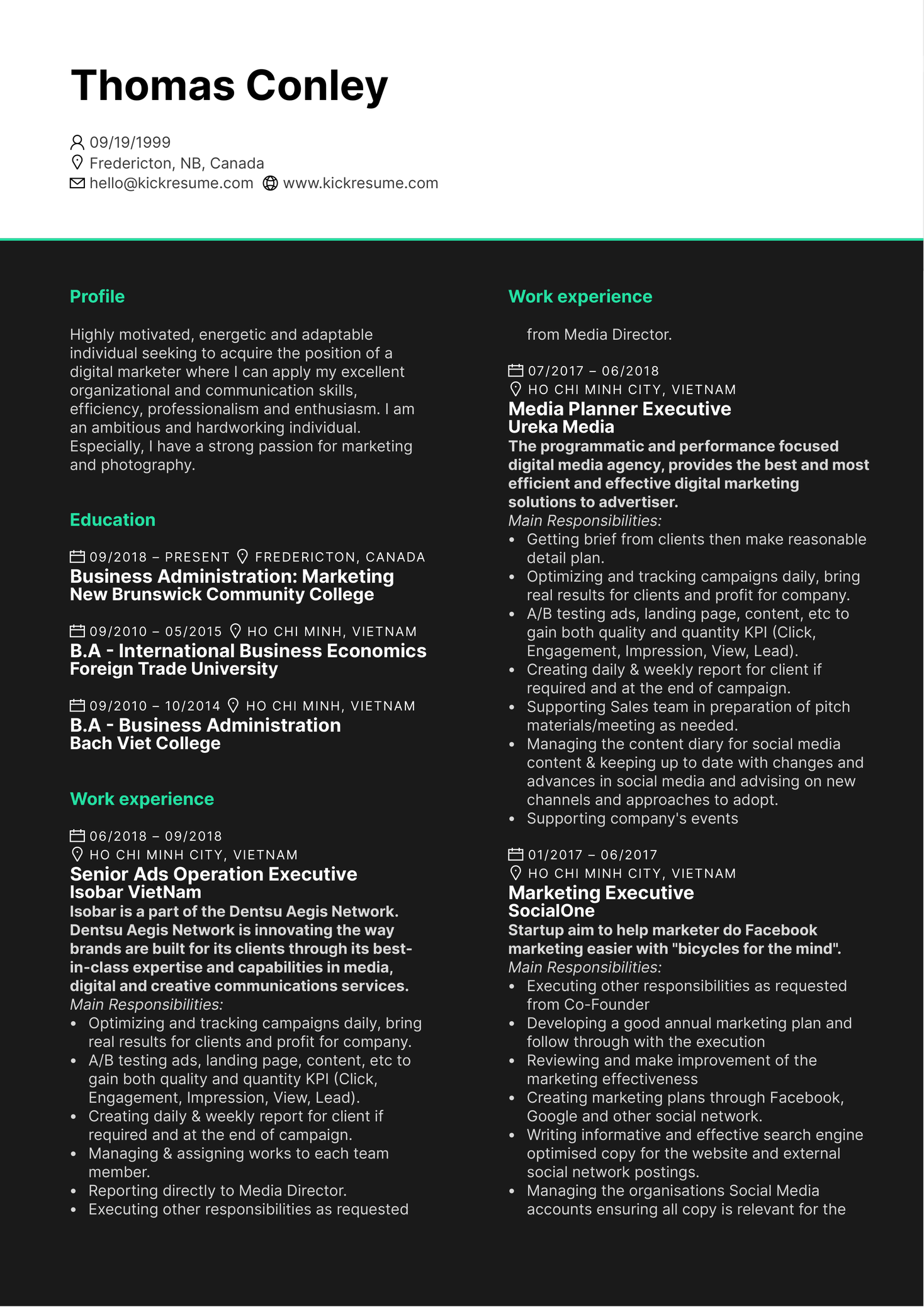 Senior Media Executive CV Example