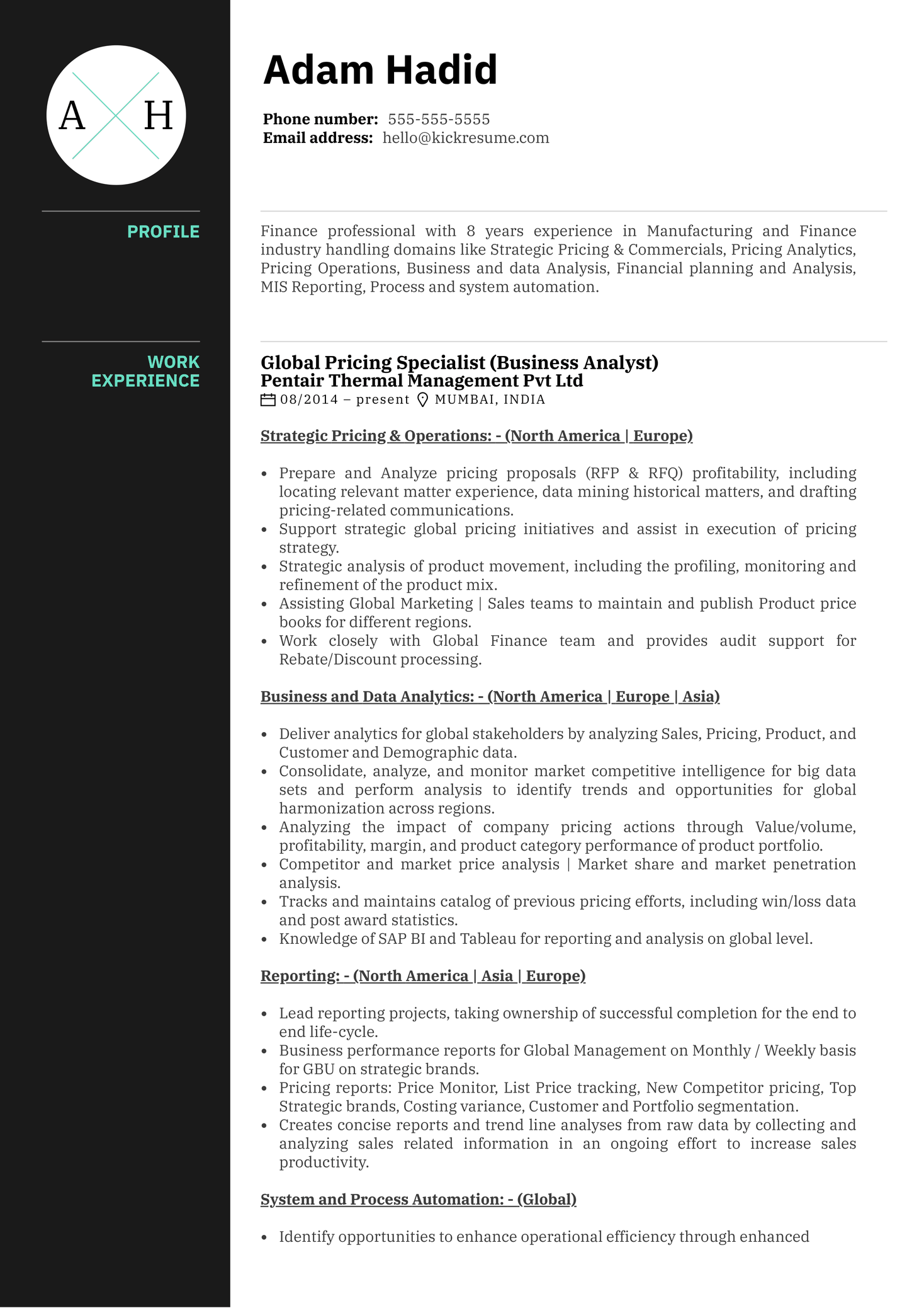 Honeywell Pricing Analyst Resume Example