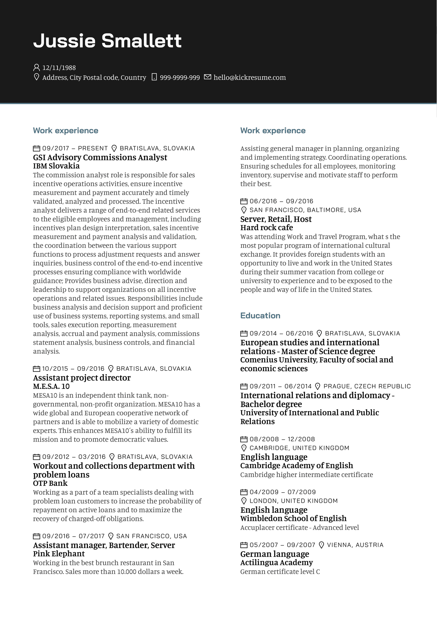 IBM Commission and Business Analyst Resume Sample