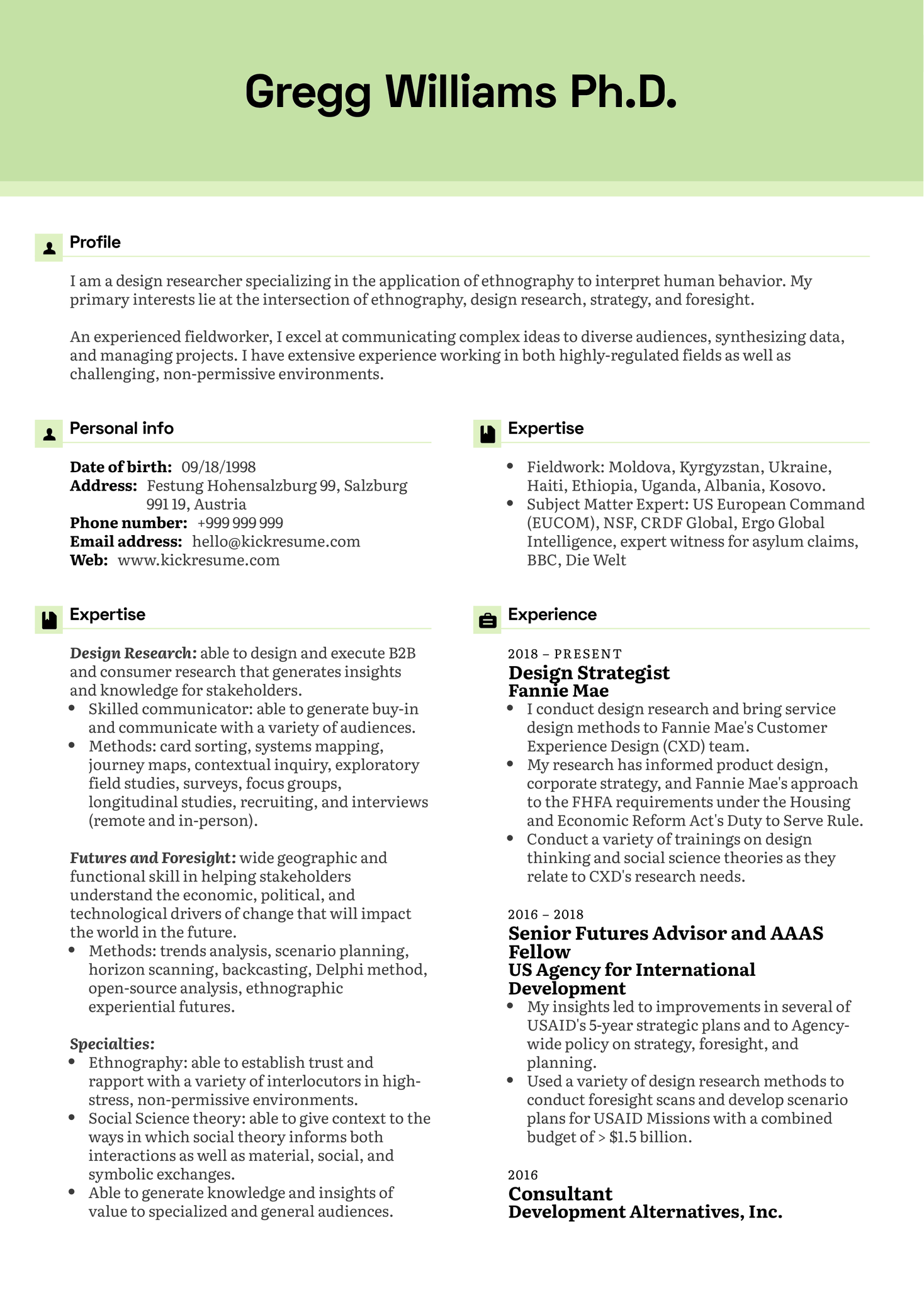 Design Strategist Resume Example