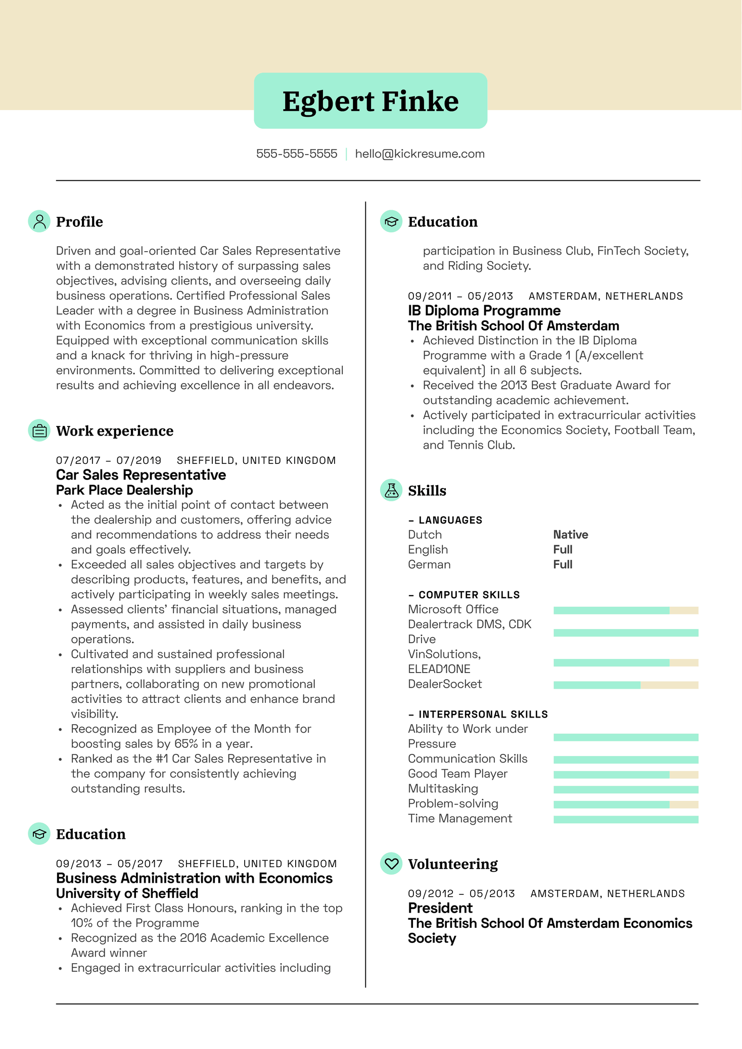 Car Sales Representative Resume Sample