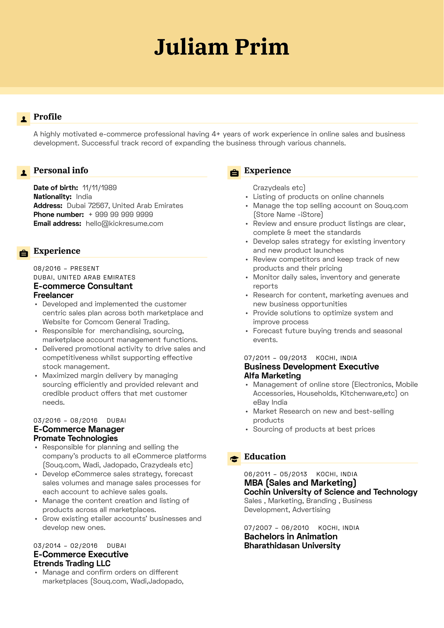 Yamaha E-commerce Executive Resume Example