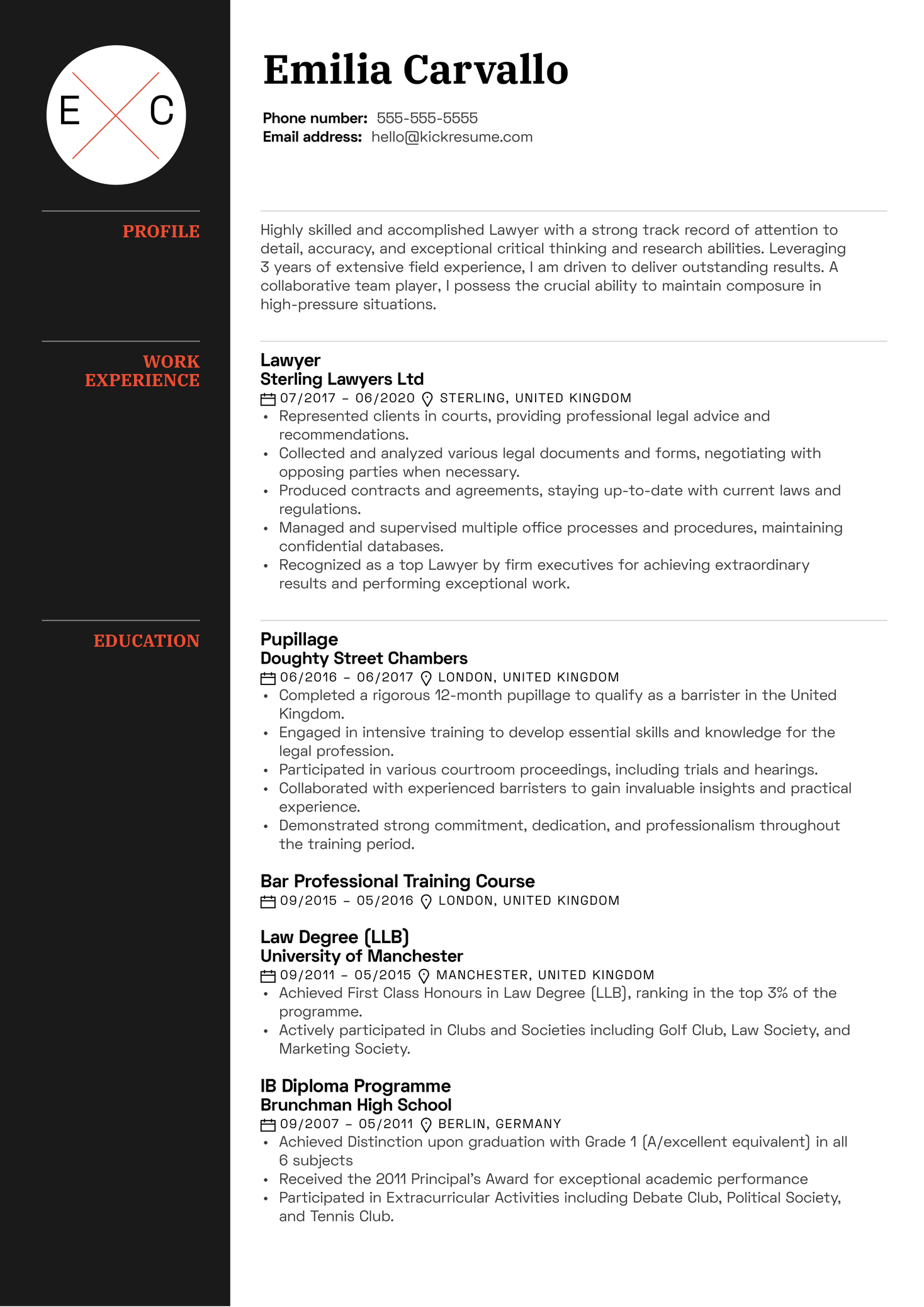 Professional Lawyer Resume Example