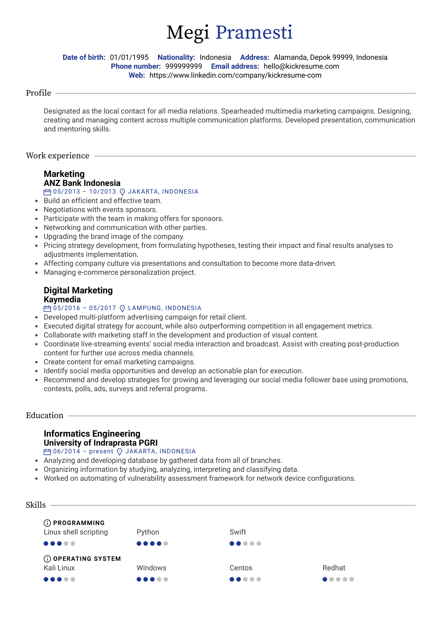 Digital Marketing Resume Sample