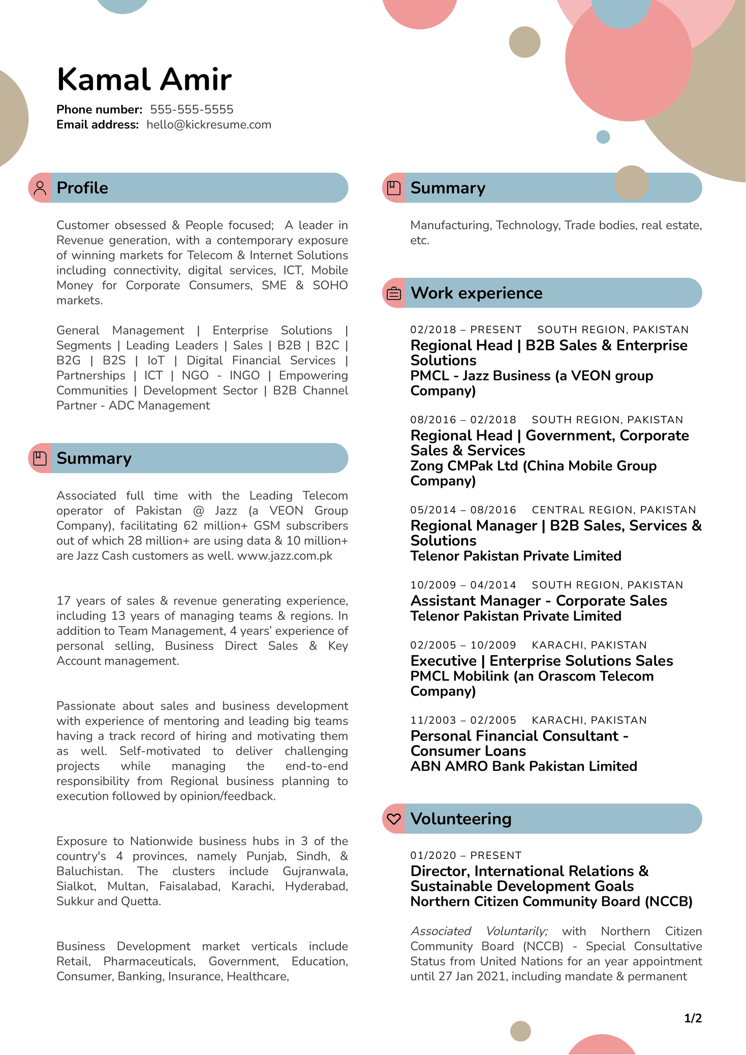 International Human Rights Commission Ambassador Resume Example