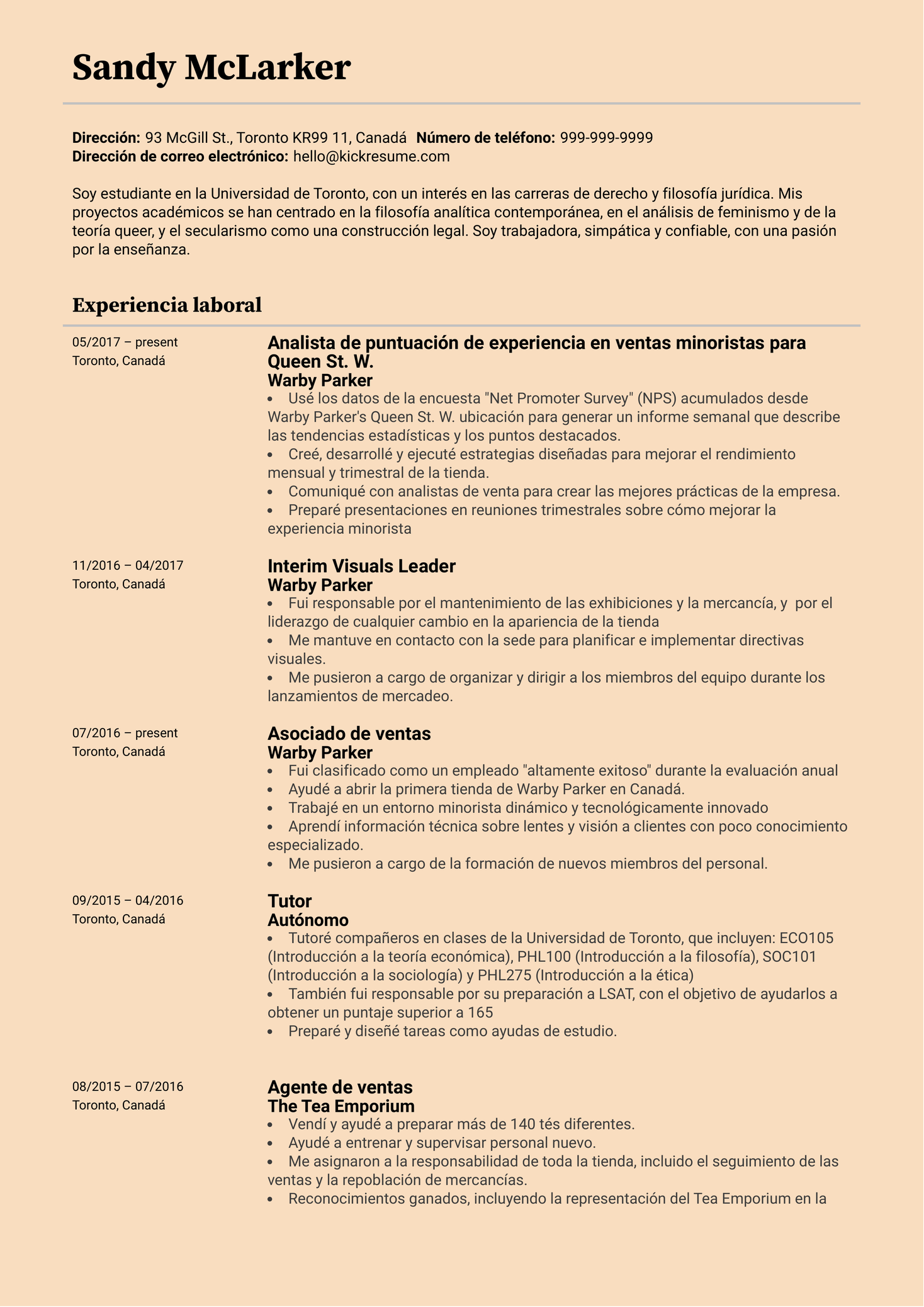 Analista con experiencia en minorista currículum ejemplo [ES]