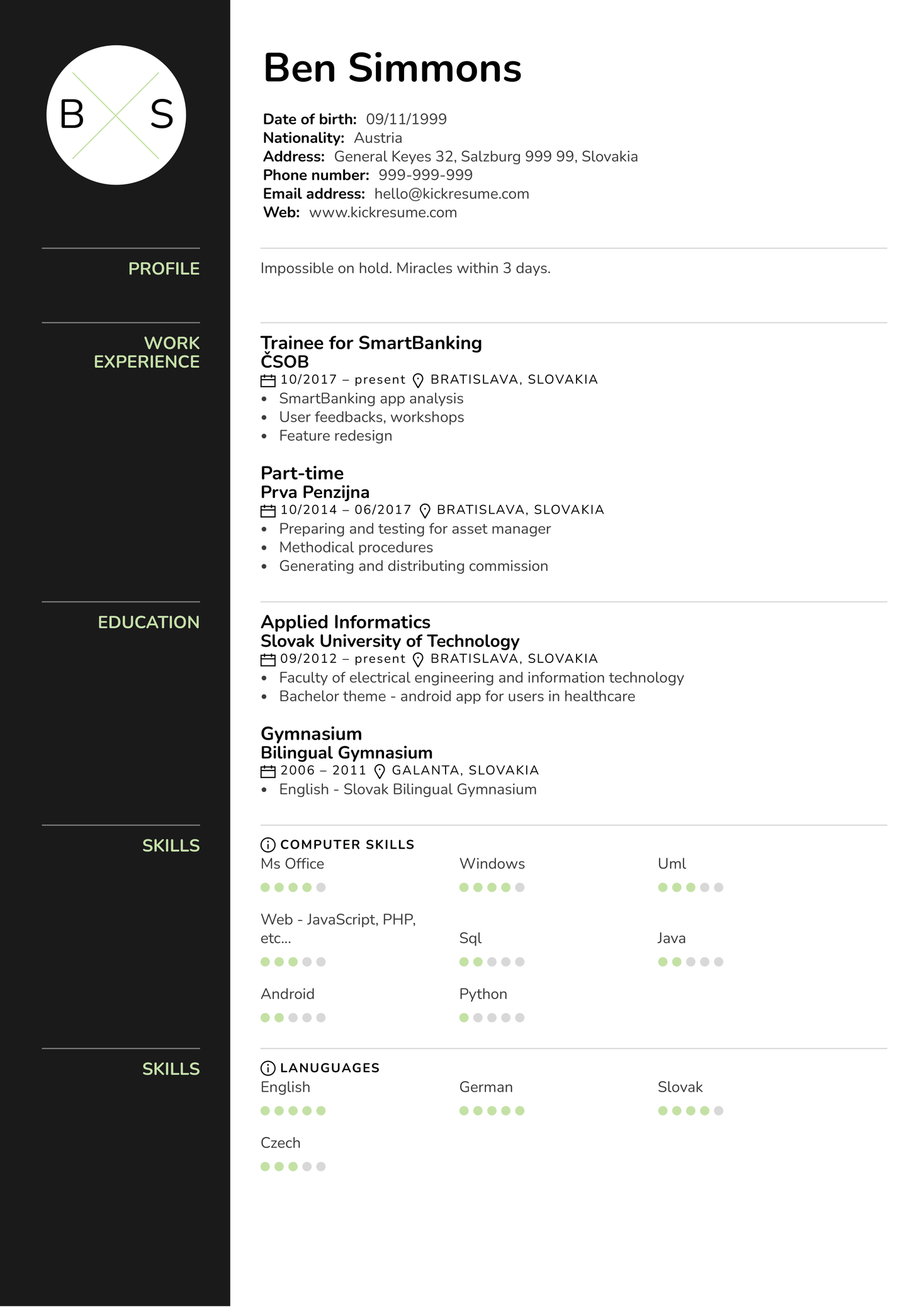 Junior Data Analytics Consultant CV Sample