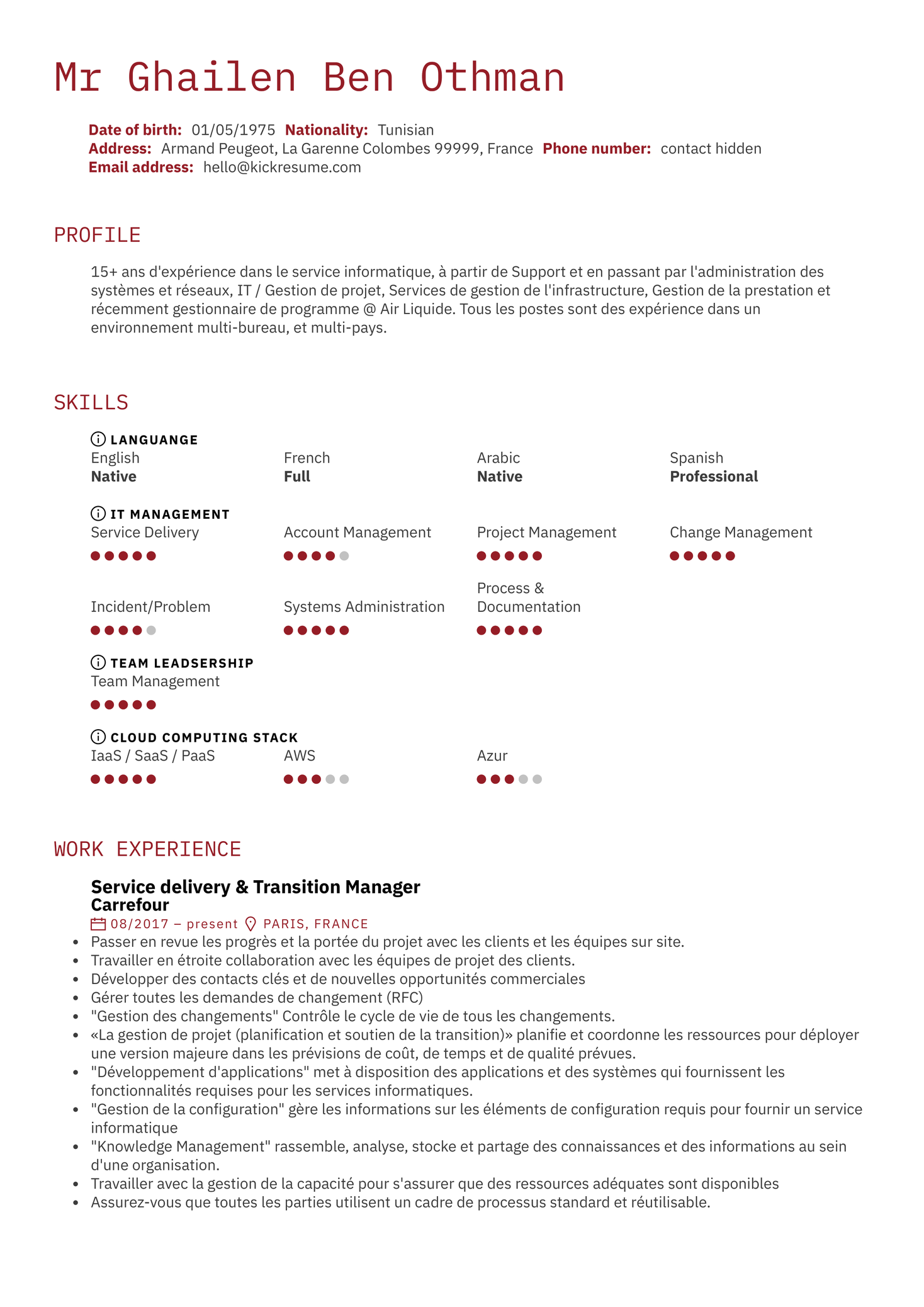 Carrefour Service Delivery Manager Resume Example