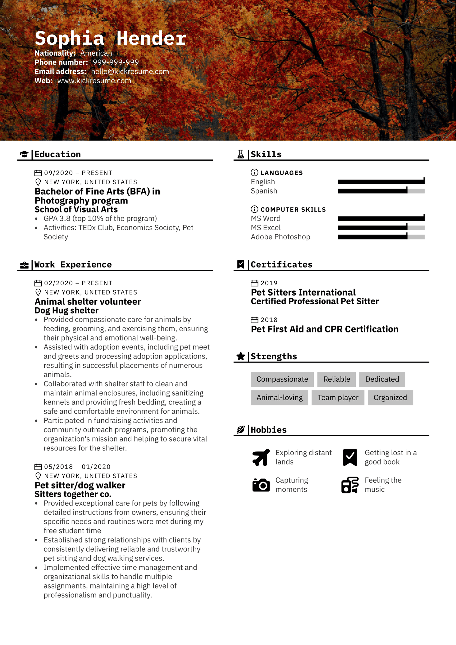 Animal shelter volunteer Resume Sample