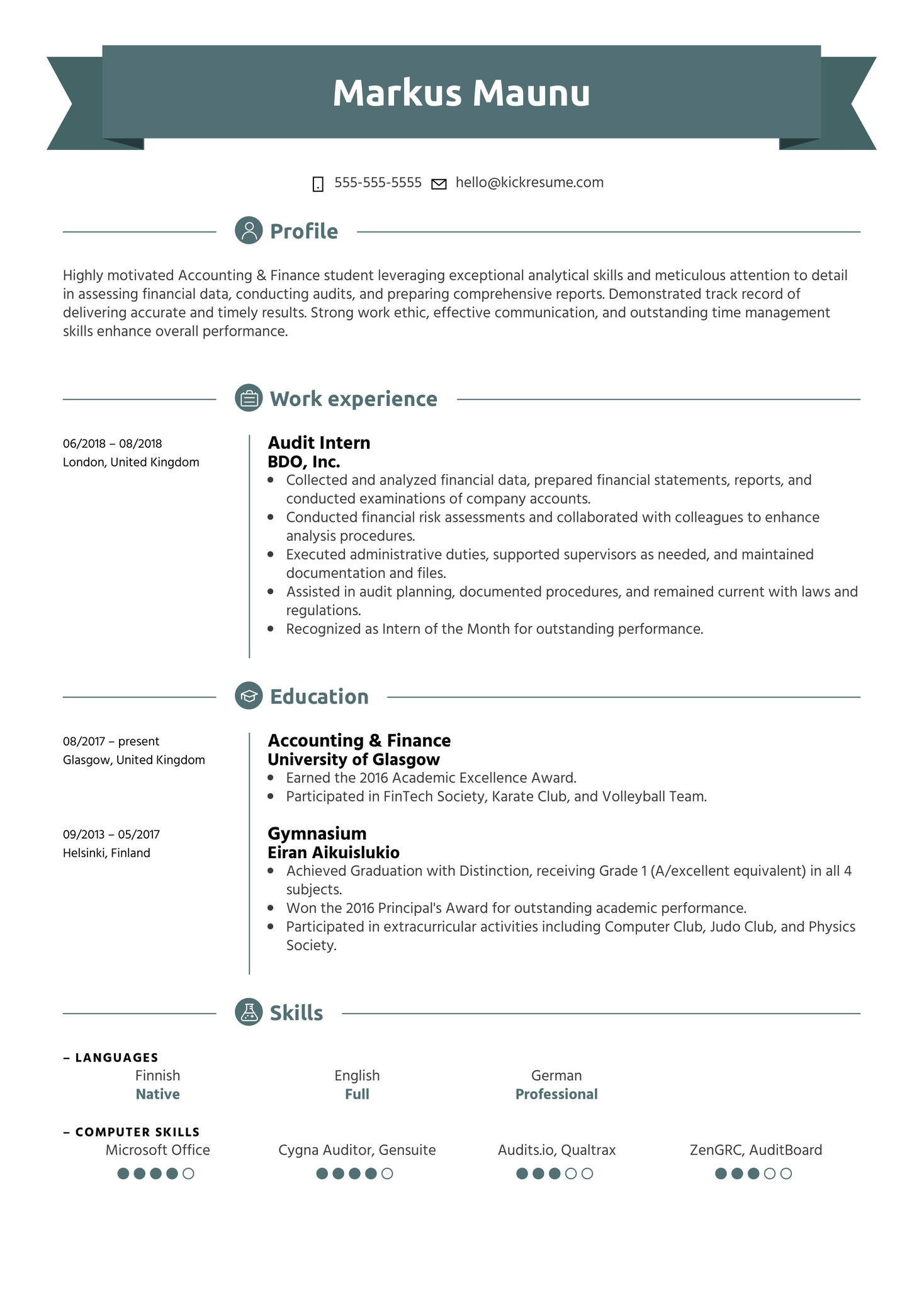 Audit Intern Resume Example