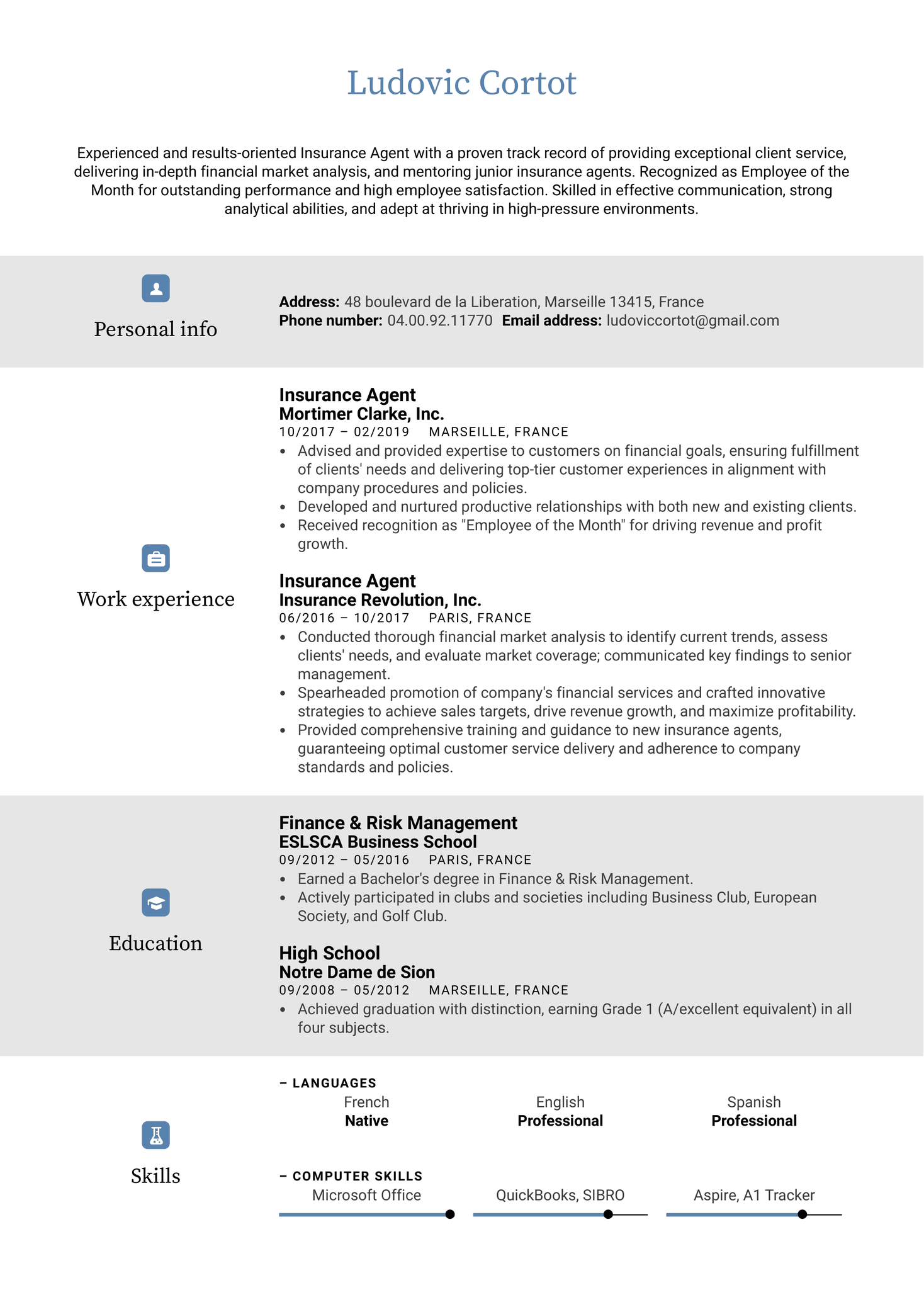 Insurance Agent Resume Example