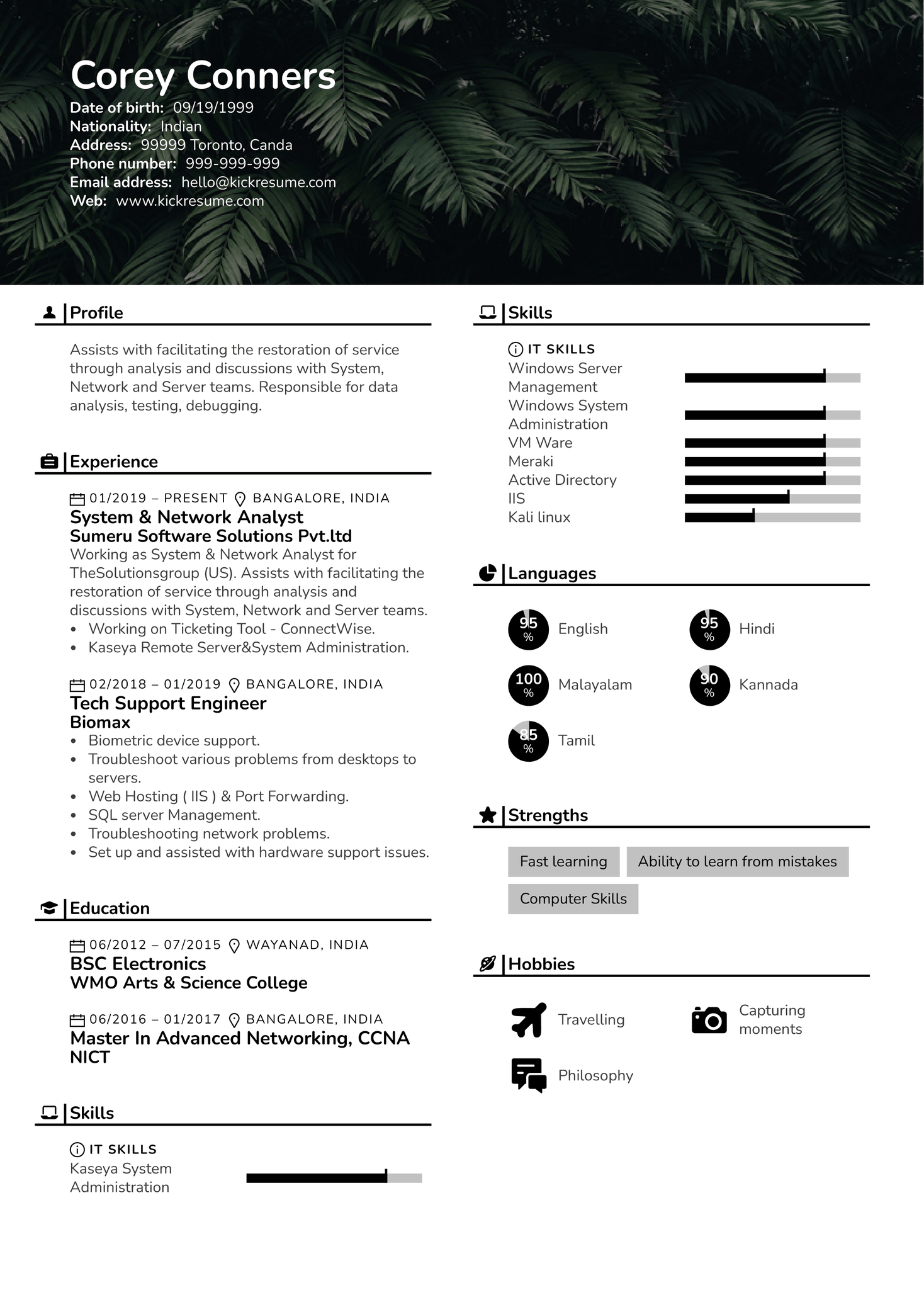 Junior Network Analyst CV Example