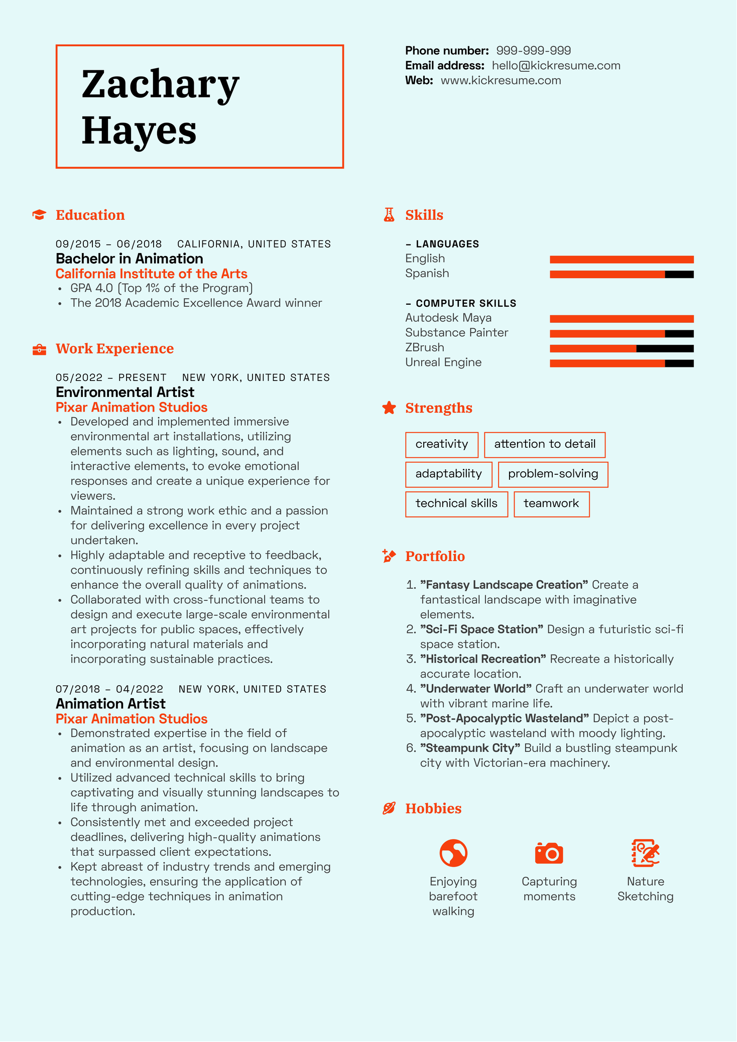 Environmental Artist Resume Sample