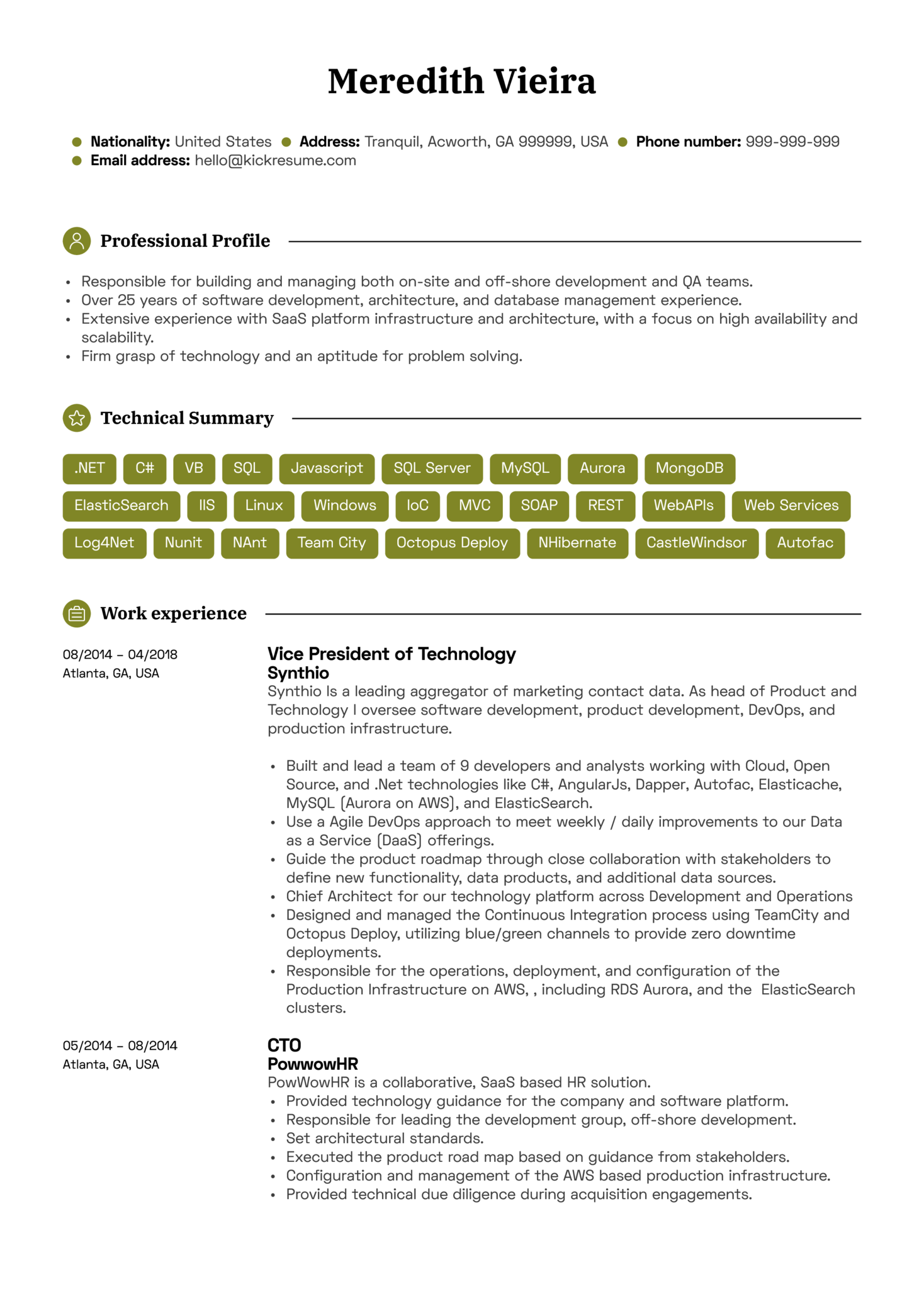 programmer resume sample