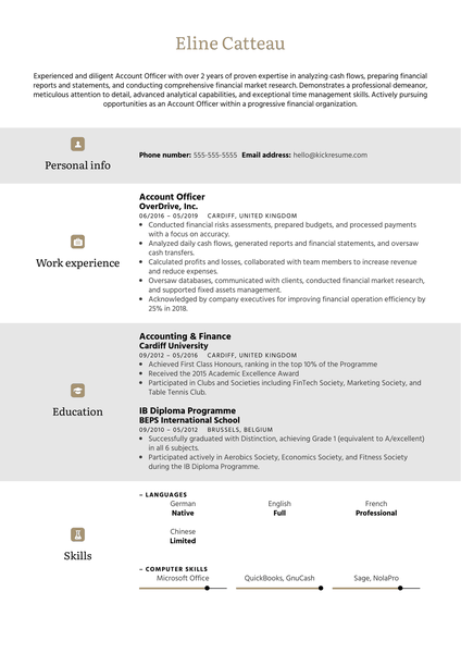 Account Officer Resume Sample