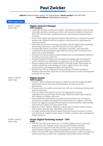 Nike Global Analytics Manager Resume Sample