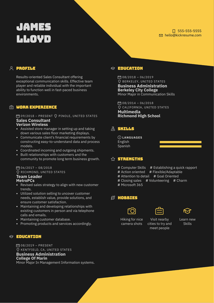 Sprint Sales Consultant Resume Example