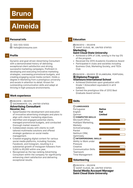 Advertising Consultant Resume Example