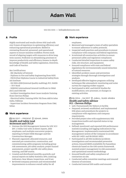 HSE Auditor Resume Sample