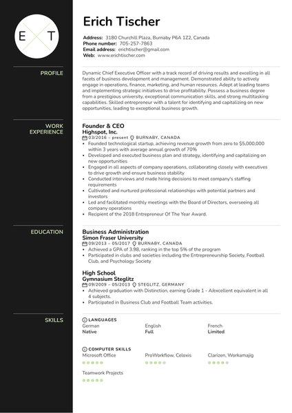 CEO Resume Example