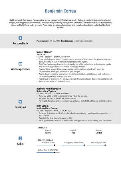 Supply Planner Resume Example