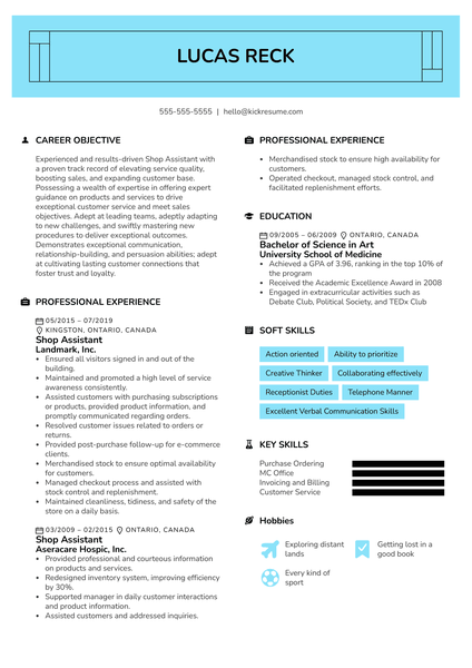 Shop Assistant Resume Example