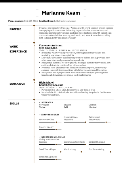 Customer Assistant Resume Example