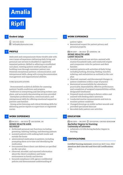 Home Health Aide Resume Sample