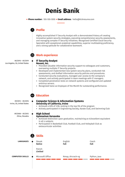 IT Security Analyst Resume Sample