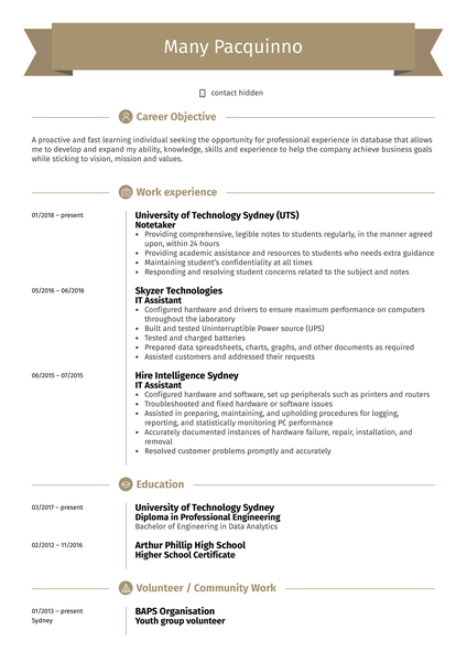 IT Assistant Resume Example