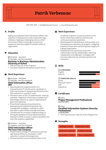 Chief Information Officer Resume Sample