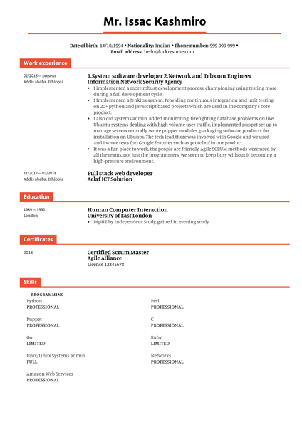 IT Engineer at Insa Resume Sample