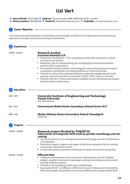 Software Analyst CV Example