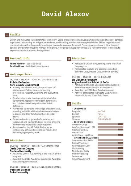 Public Defender Resume Example