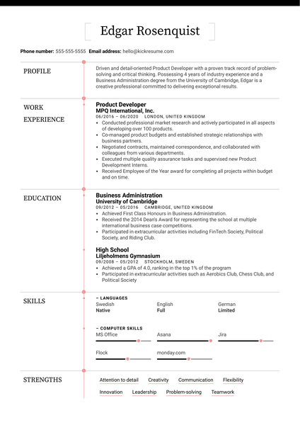 Product Developer Resume Sample