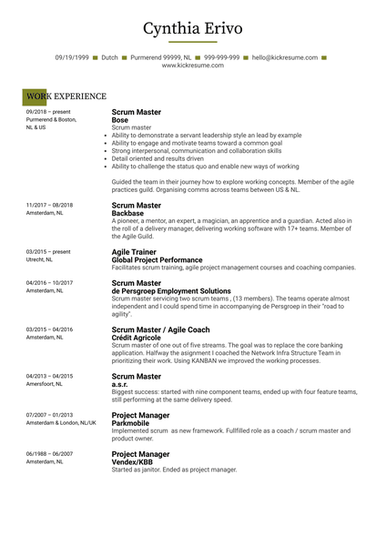 Scrum Master Resume Sample