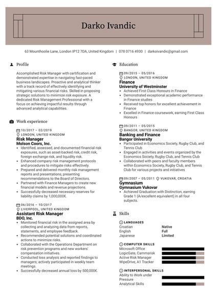 Risk Manager Resume Example